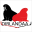 Dirlandaa logo